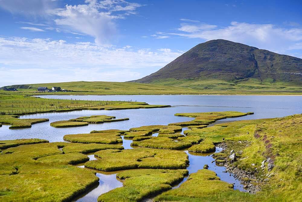 Marsh landscape near Northton with Ceapabhal Hill, Isle of Harris, Scotland, Great Britain