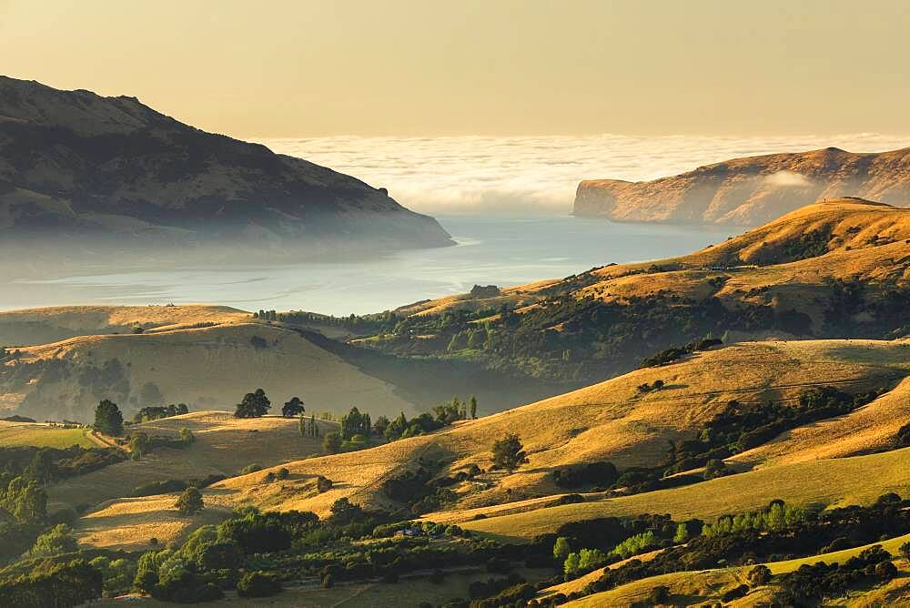 Sea fog at sunrise, Oceania, Banks Peninsula, Canterbury, South Island, New Zealand, Oceania