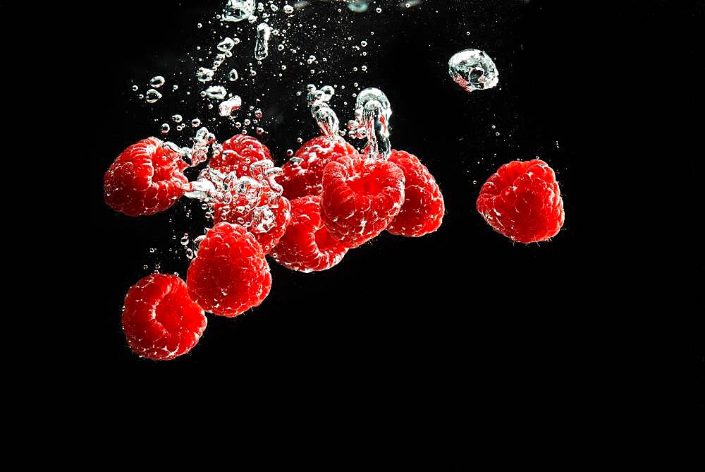 Raspberries fall into water, black background, studio shot, Austria, Europe