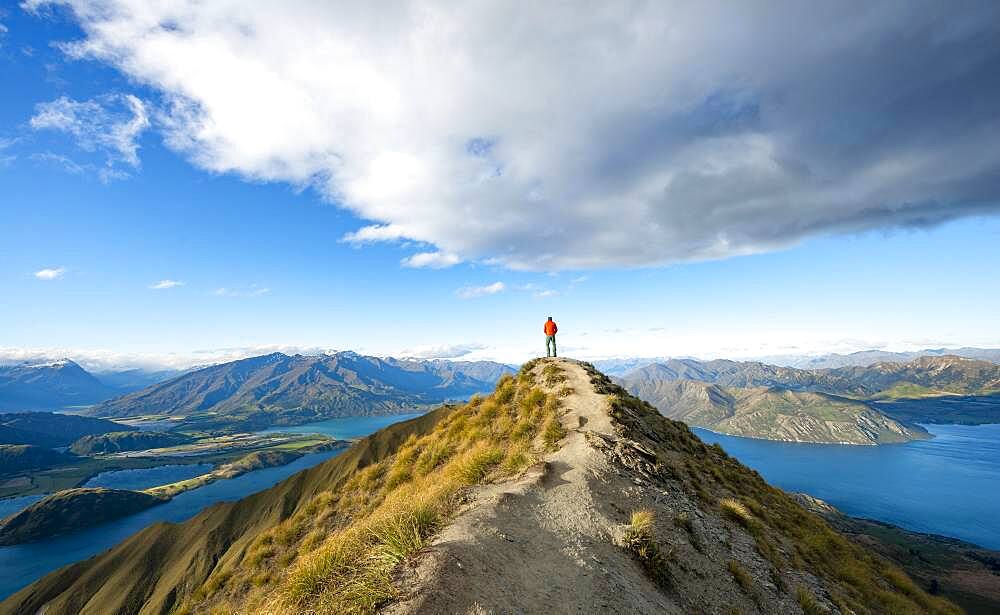 Hiker stands at the summit, view of mountains and lake from Mount Roy, Roys Peak, Lake Wanaka, Southern Alps, Otago, South Island, New Zealand, Oceania