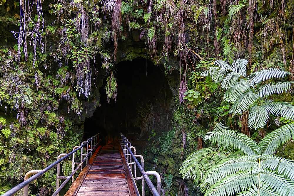 Entrance to Thurston Lava Tube, Lava tube, Hawai'i Volcanoes National Park, Big Island, Hawaii