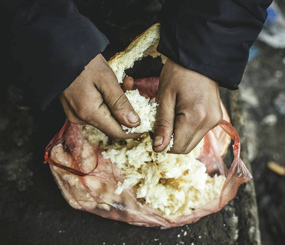 Escaped man plucks stale bread for a meal, Belgrade, Serbia, Europe