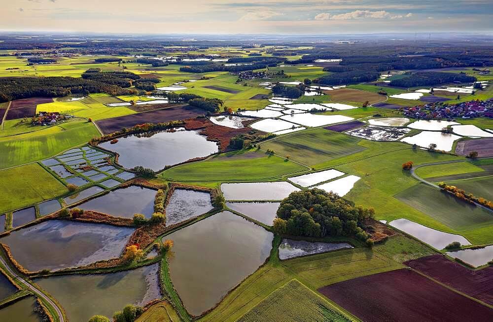 Carp pond, carp pond, fish farming, nature reserve bird sanctuary, pond area near Mohrhof, villages from left Mohrhof, middle Biengarten, right Poppenwind, Aischgrund, Middle Franconia, Franconia, Bavaria, Germany, Europe