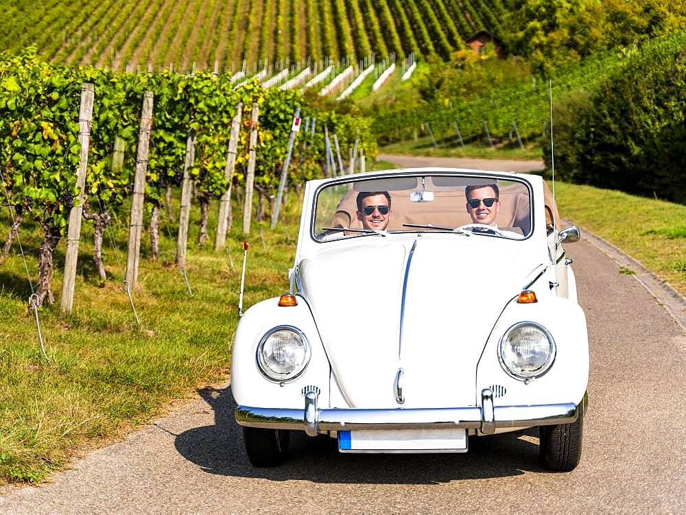 Businessmen in a classic car, driving through vineyards, Remstal, Baden-Wuerttemberg, Germany, Europe