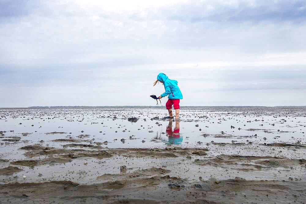 Child playing in the mudflats, mudflat hiking tour, Lower Saxony Wadden Sea National Park, East Frisia, Lower Saxony, Germany, Europe