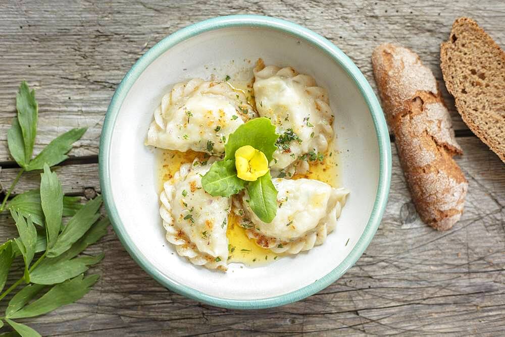 Carinthian noodles filled with herbs and cream cheese, melted butter, bread and lovage, Irschen, Carinthia, Austria, Europe