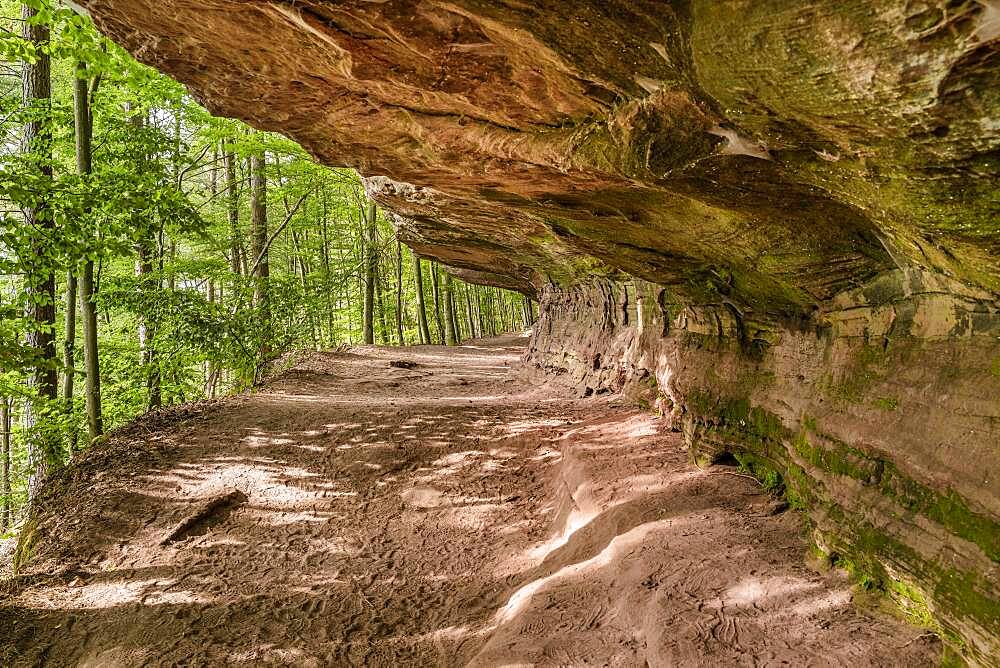 Altschlossfelsen, Palatinate Forest, Rhineland Palatinate, Germany, Europe