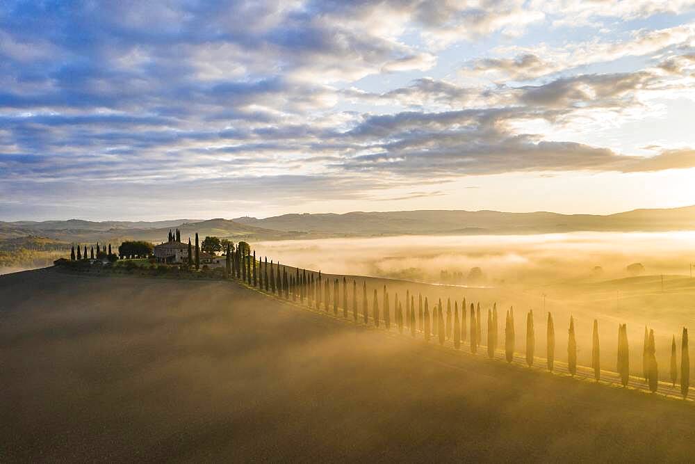 Country estate Poggio Covili with cypress avenue (Cupressus) at sunrise, near San Quirico d'Orcia, Val d'Orcia, Province of Siena, Tuscany, Italy, Europe