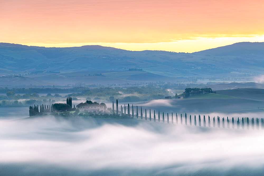 Country estate Poggio Covili with cypress avenue (Cupressus) at sunrise, near San Quirico d'Orcia, Val d'Orcia, Province of Siena, Tuscany, Italy, Europe