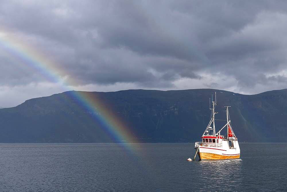 Fishing boat in fjord with rainbow, Lyngseidet, Lyngenfjord, Troms og Finnmark, Norway, Europe