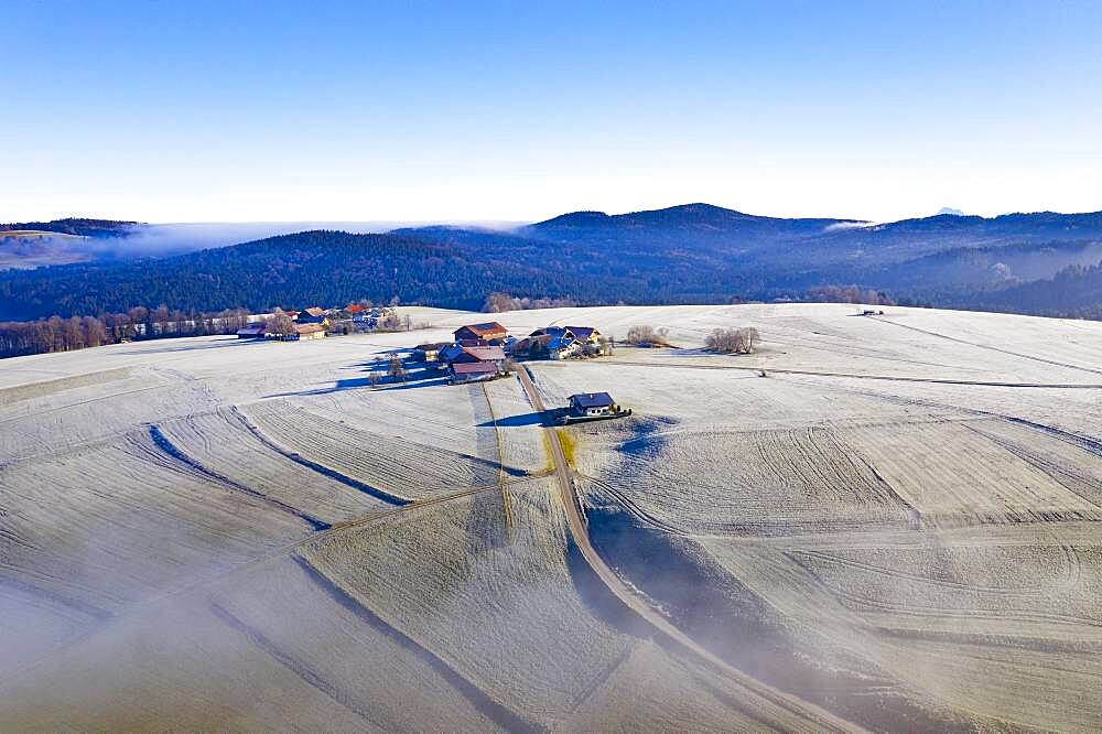 Farms in the middle of meadows covered with hoar frost, agricultural landscape, From above, aerial view, drone photo, Mondsee, Mondseeland, Salzkammergut, Upper Austria, Austria, Europe