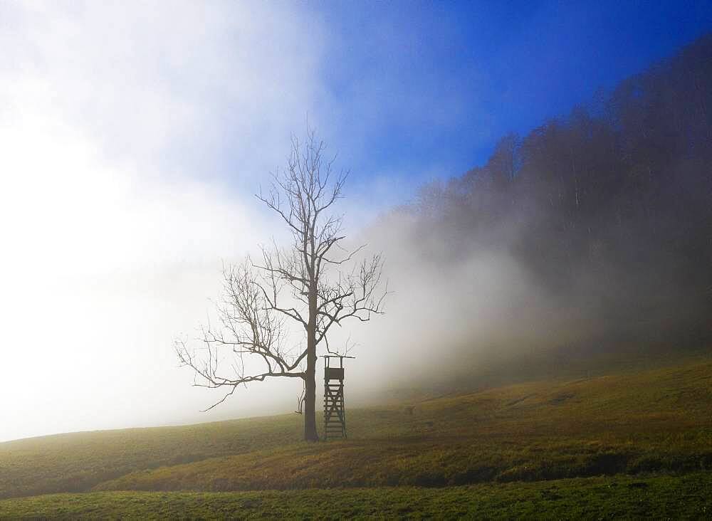 Hunter's high seat at the edge of the forest in the morning fog, Mondseeland, Upper Austria