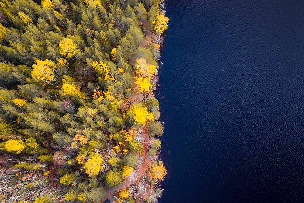 Aerial view, autumnal forest and lake, resting places Angersjoen, Hudiksvall, Sweden, Europe