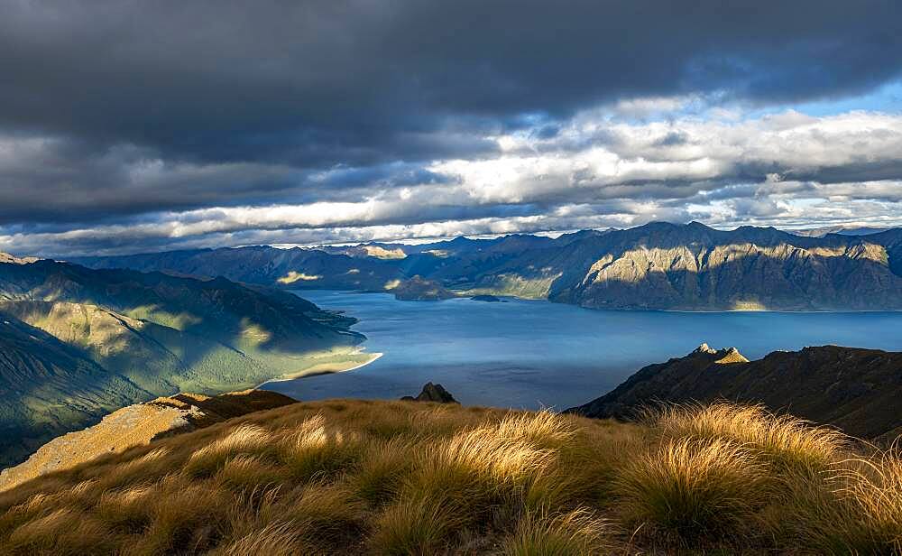 View of Lake Hawea, lake and mountain landscape in the evening light, view from Isthmus Peak, Wanaka, Otago, South Island, New Zealand, Oceania