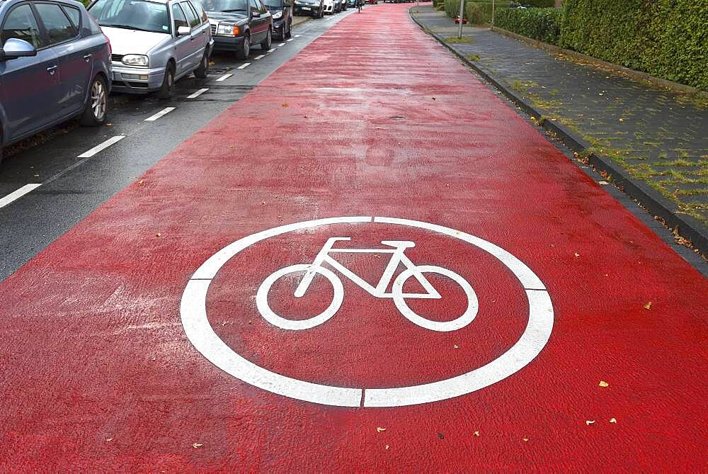 Red marked bicycle road, cars are subordinate, Muenster, North Rhine-Westphalia, Germany, Europe