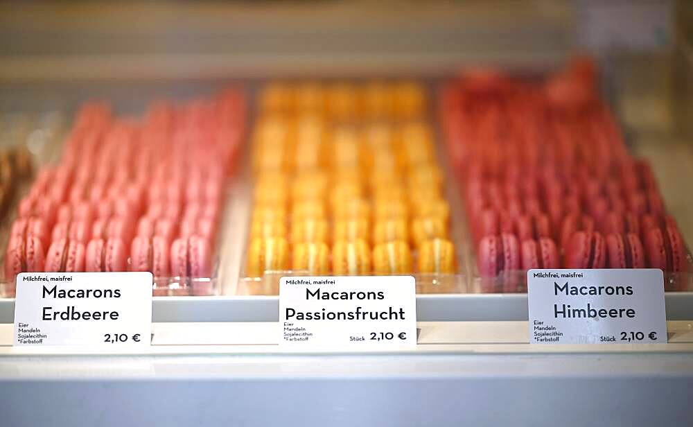 Macarons, display of a patisserie, Stuttgart, Baden-Wuerttemberg, Germany, Europe