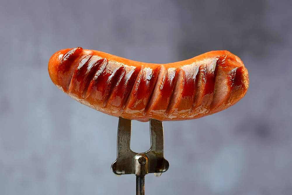 Grilled sausage on skewer, grill sausage, Germany, Europe