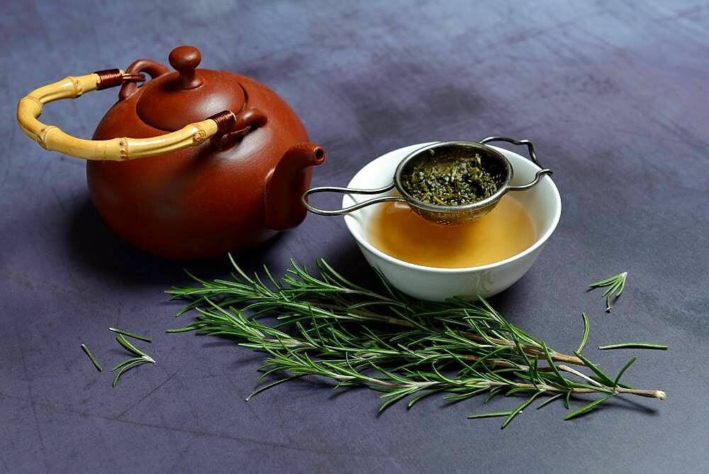 A cup of rosemary tea with tea strainer, teapot, Germany, Europe