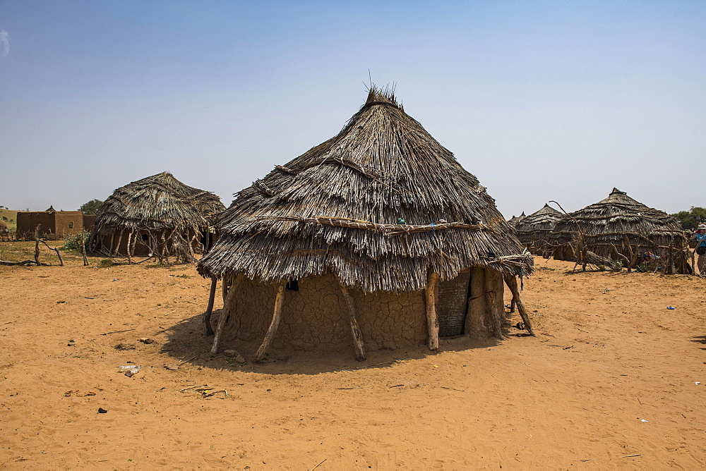 Traditional mud huts, Hausa village, south-Niger, Niger, Africa