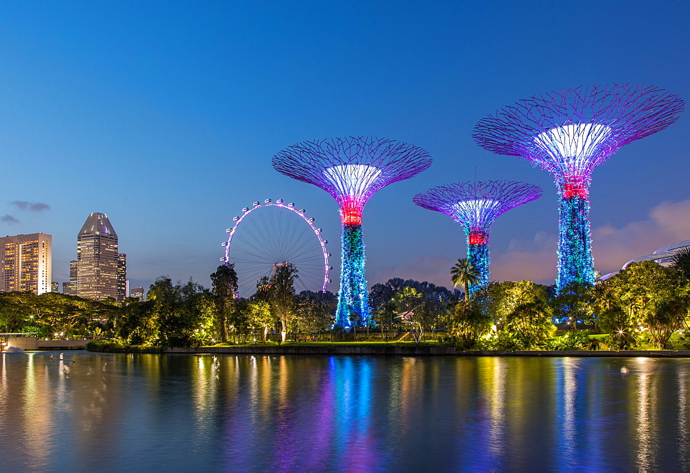 Supertrees at night, Supertree Grove, Gardens by the Bay, Singapore, Asia