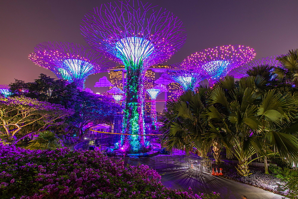 Supertrees at night, Supertree Grove, Gardens by the Bay, Singapore, Asia