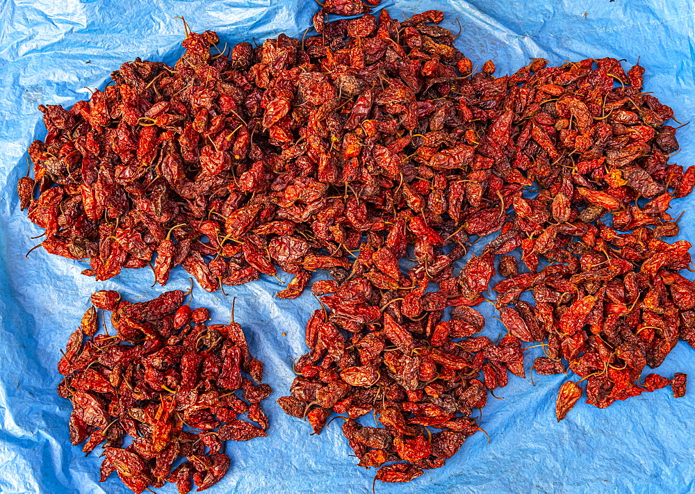 King Chili (U-Morok), hottest chilli in the world, Ima Keithel women´s market, Imphal, Manipur, India, Asia