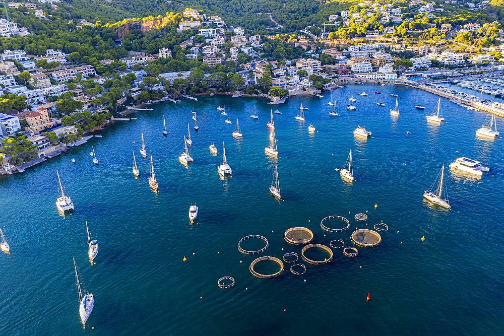 Andratx, Port d'Andratx, coast and natural harbour and fish farms in aquaculture, Majorca, Balearic Islands, Spain, Europe