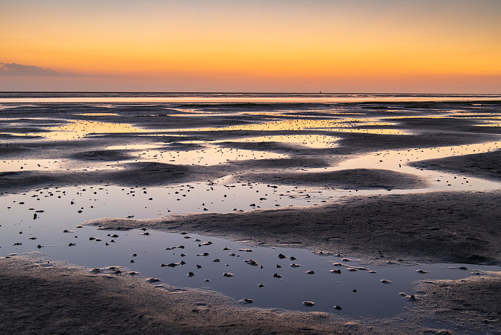 Mudflats in the evening light, beach at low tide, Wadden Sea National Park, North Sea, North Frisia, Schleswig-Holstein, Germany, Europe