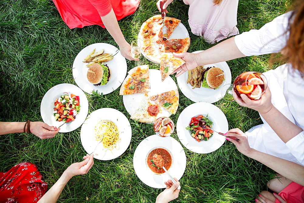 Group of women enjoying different food on grass, pizza, burger, salads, pasta, soup