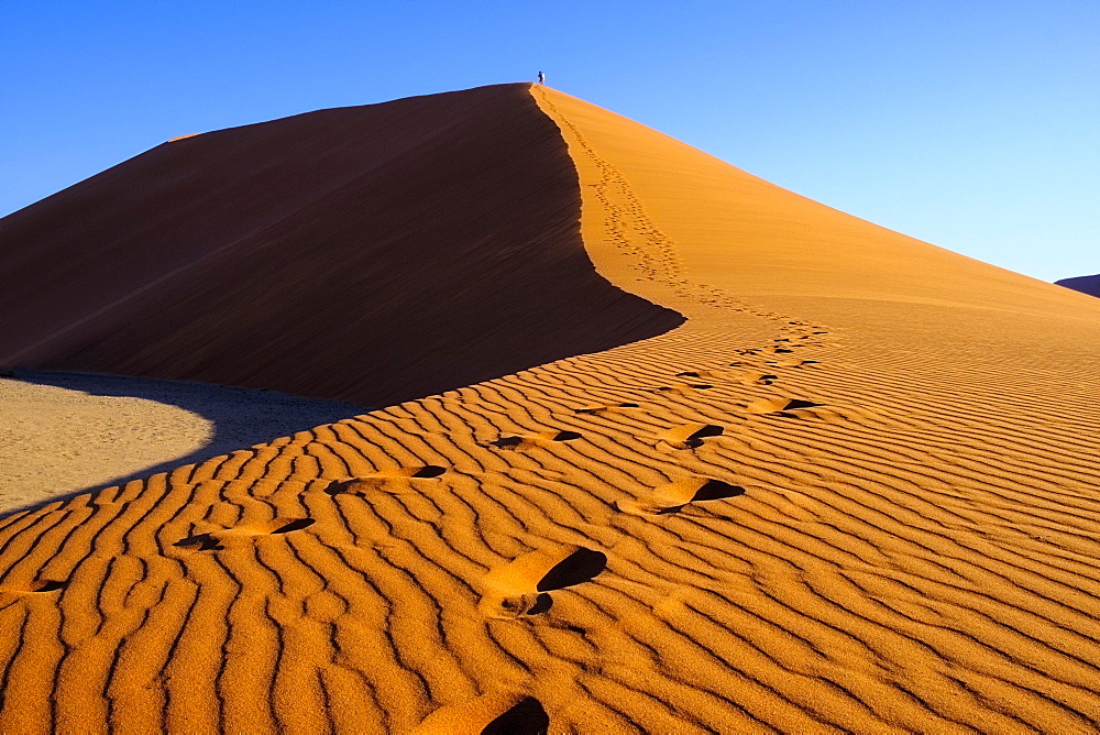 People climb the Dune 45, Sossusvlei, Namibia, Africa