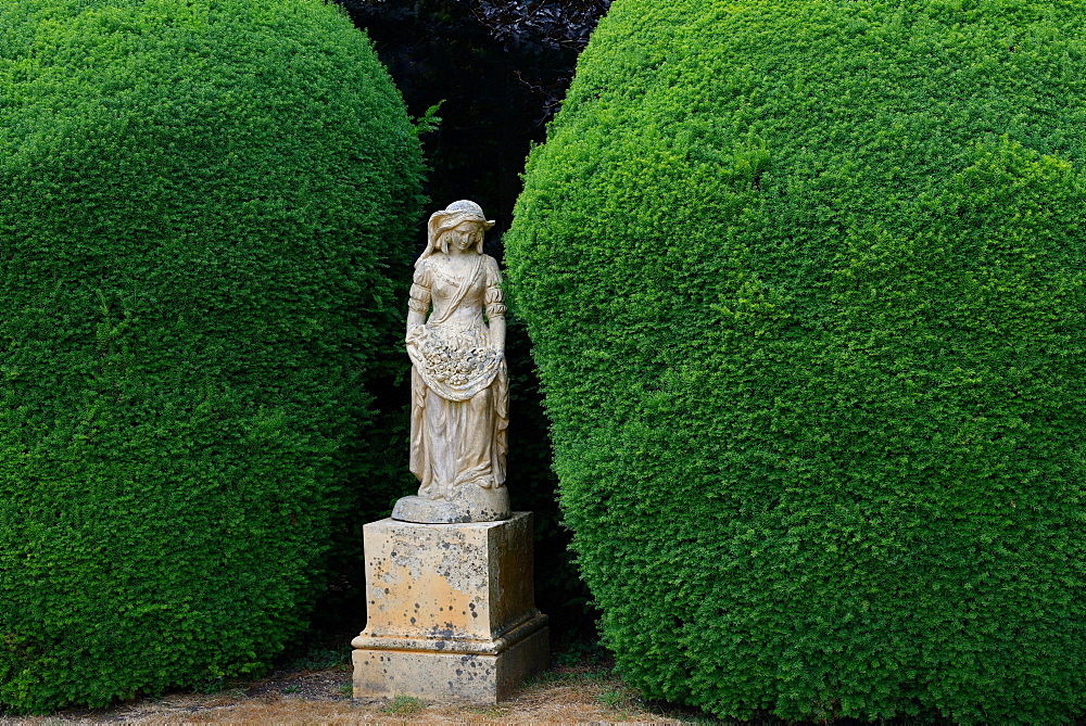 Statue and yew tree in topiary, England, Great Britain