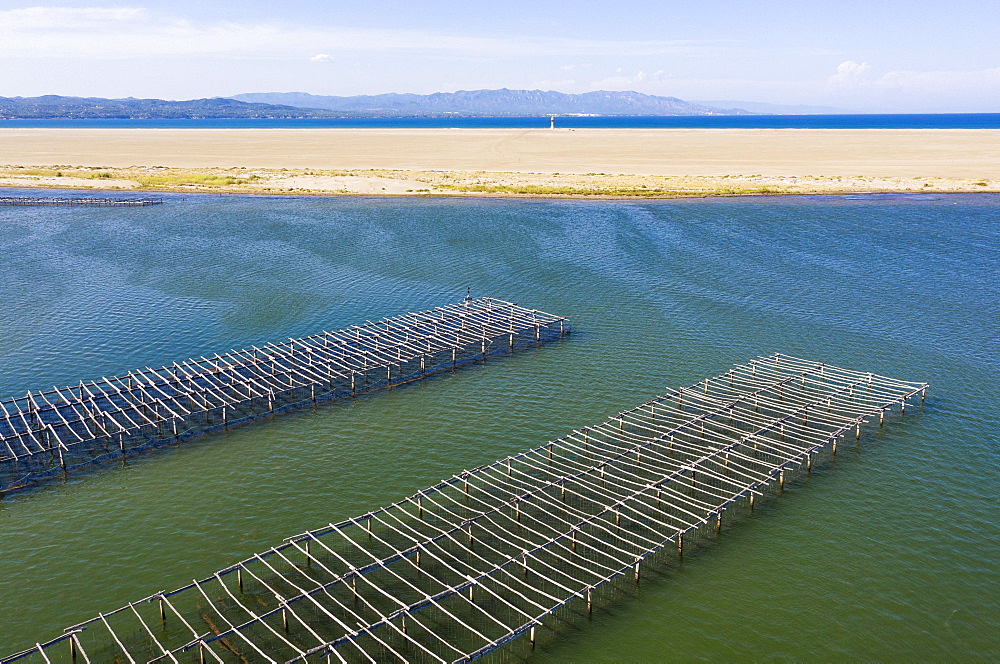 Mussel and oyster farming in the Bahia del Fangar, aerial view, drone shot, Ebro Delta Nature Reserve, Tarragona province, Catalonia, Spain, Europe