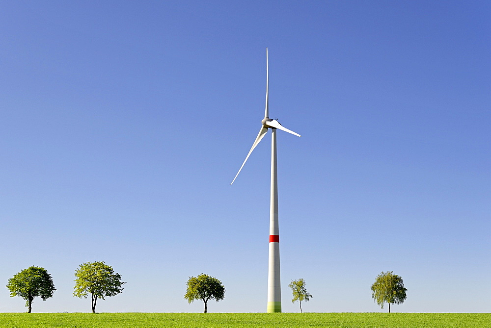 Wind power plant at a green corn field with trees, blue sky, North Rhine-Westphalia, Germany, Europe