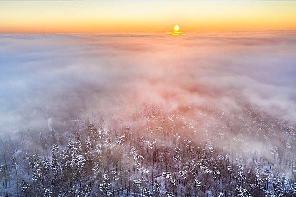 Drone shot, sunrise with fog, winter in Remstal, mixed forest, Baden-Wuerttemberg, Germany, Europe