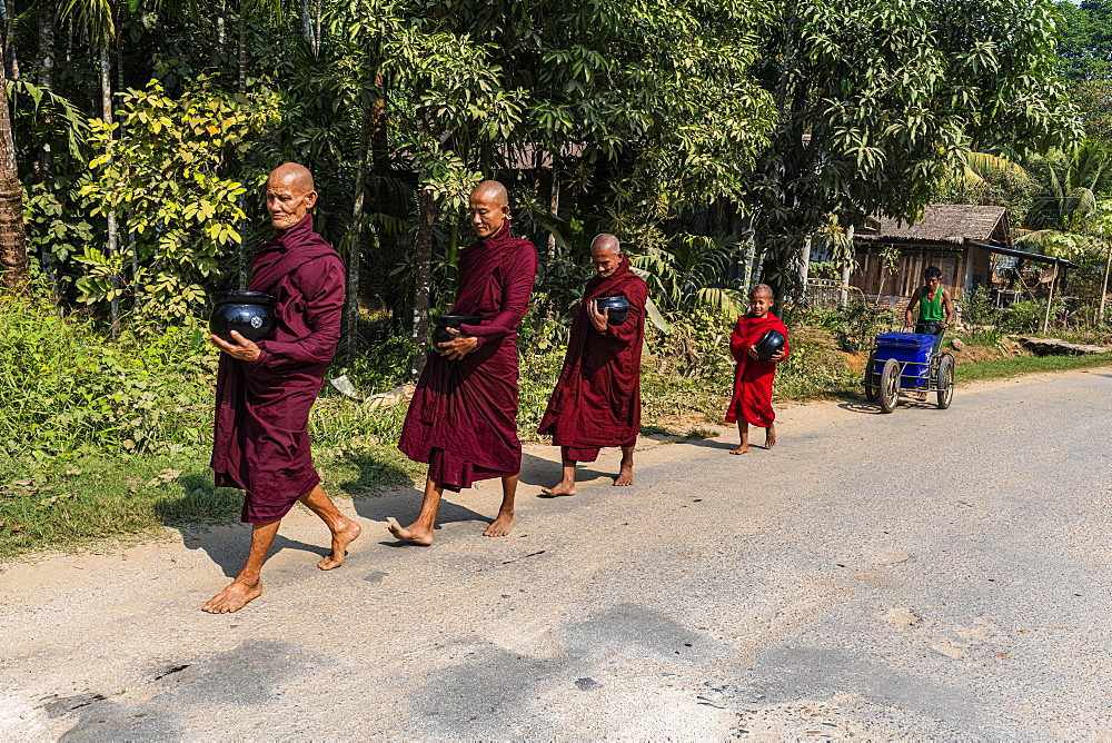 Monks on their early morning walk for rice, Dawei, Mon state, Myanmar, Asia