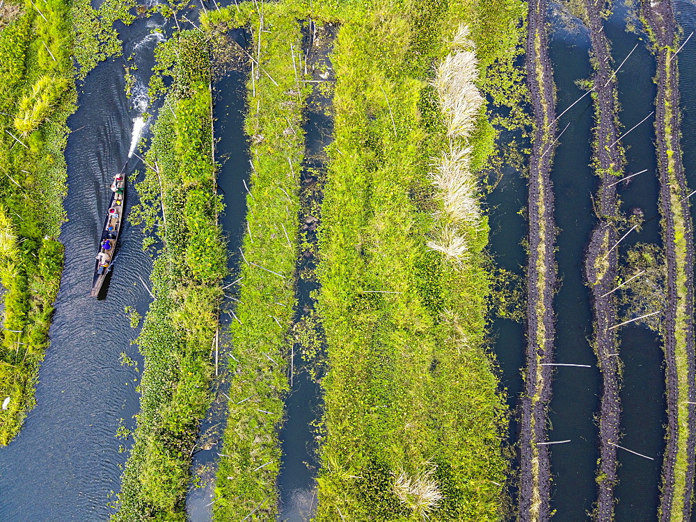 Aerial of the floating gardens, Inle lake, Shan state, Myanmar, Nyaungshwe Township, Shan State, Myanmar, Asia