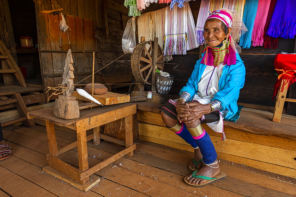 Portrait of a Padaung, giraffe with a traditional weaving chair, woman, Loikaw area, Kayah state, Myanmar, Asia