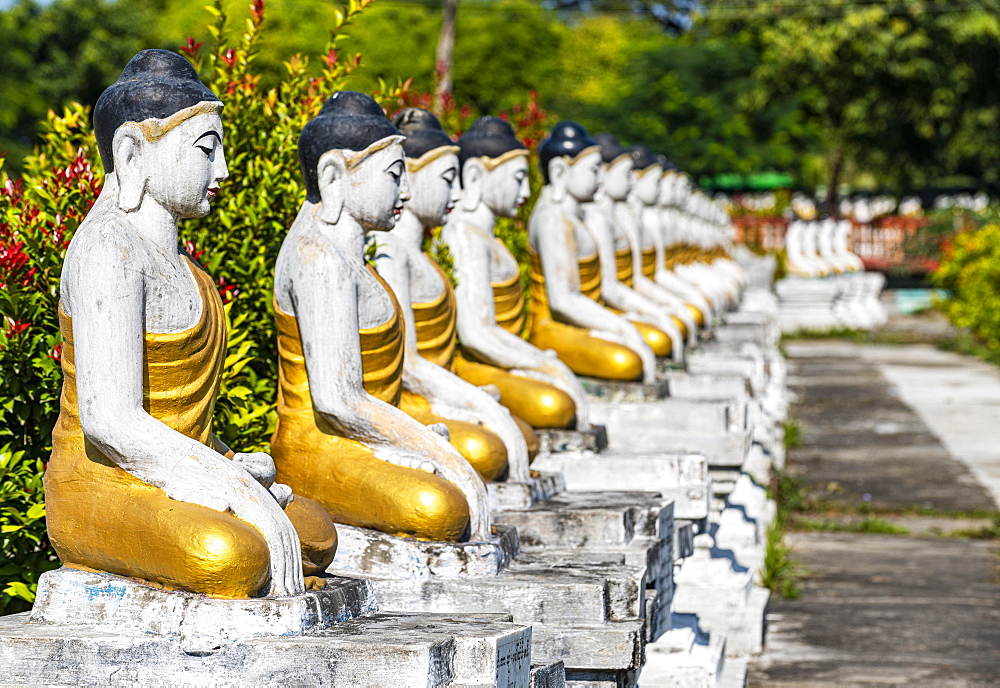 Buddhas lining up, Aung Zay Yan Aung Pagoda, Myitkyina, Kachin state, Myanmar, Asia