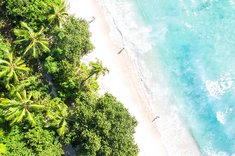 Takamaka beach Mahe Mahe paradise ocean palm trees drone shot bird's eye view, Mahe, Seychelles, Africa