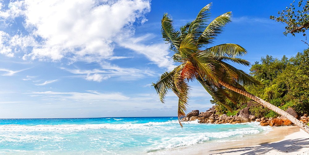 Anse Georgette travel travel landscape beach holiday island Praslin palm panorama sea, Praslin, Seychelles, Africa