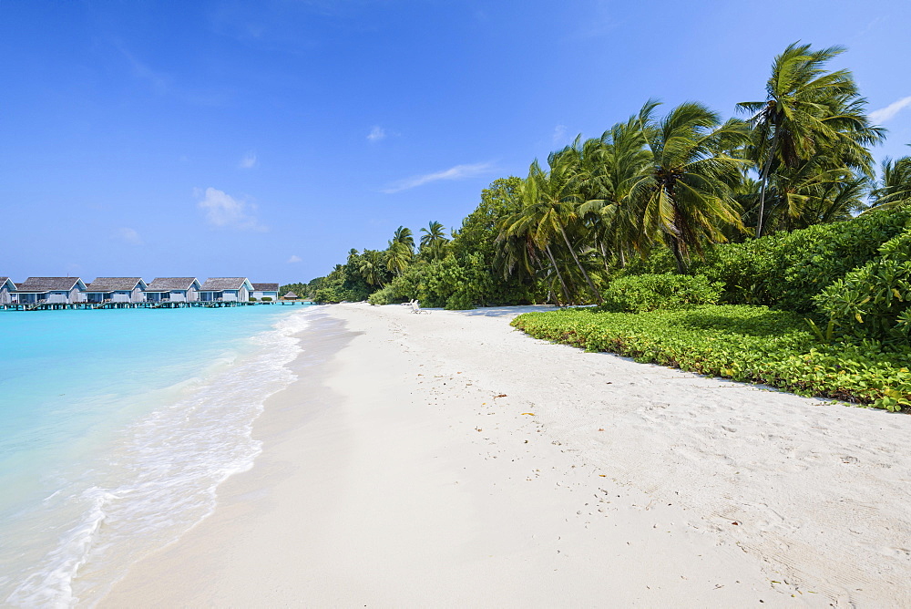 Maldives Beach, Kuramathi, Maldives, Asia
