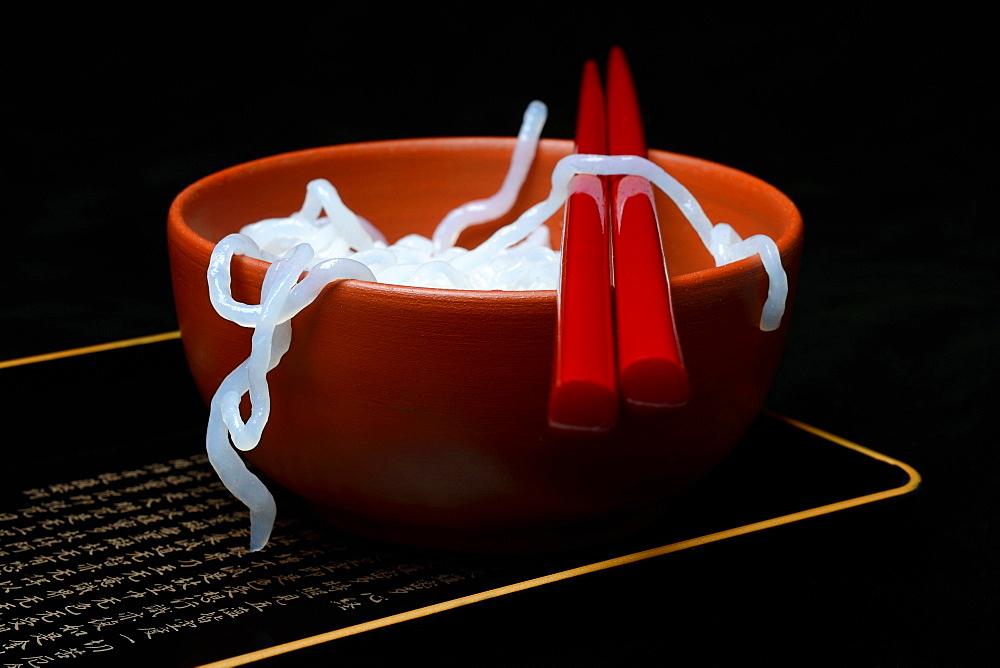 Shirataki noodles made from konjac flour in a bowl with chopsticks, Germany, Europe