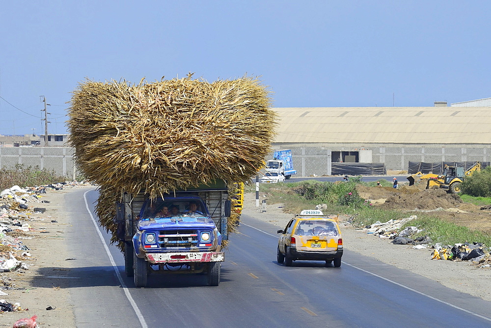 Overloaded truck with sugar cane on littered road, Trujillo, La Liberdad region, Peru, South America