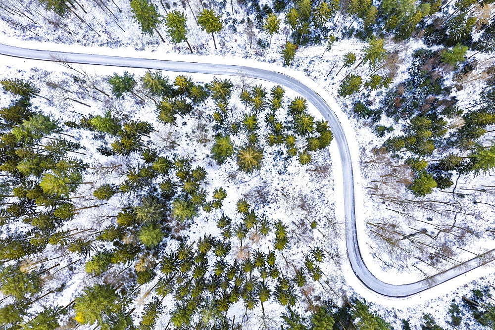 Drone image, winter in Swabian Forest, mixed forest, Baden-Wuerttemberg, Germany, Europe