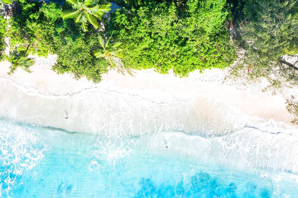 Takamaka beach nature paradise drone aerial bird's eye view on Mahe island, Seychelles, Africa