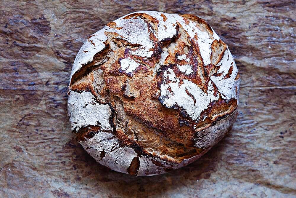 Home-made organic sourdough bread, Lower Austria, Austria, Europe