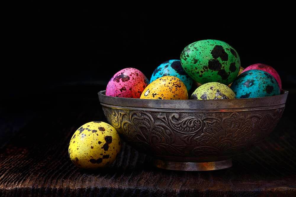 Coloured quail eggs in shell, Easter eggs, Germany, Europe