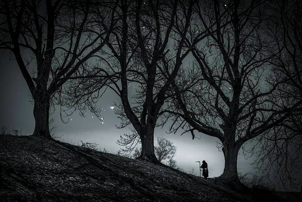 Man with scythe under tree with starry sky, Oberguenzburg, Ostallgaeu, Bavaria, Germany, Europe