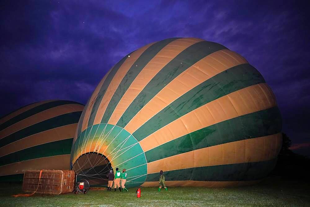 Hot air balloon being filled, inflated, blue hour, Masai Mara National Reserve, Kenya, Africa