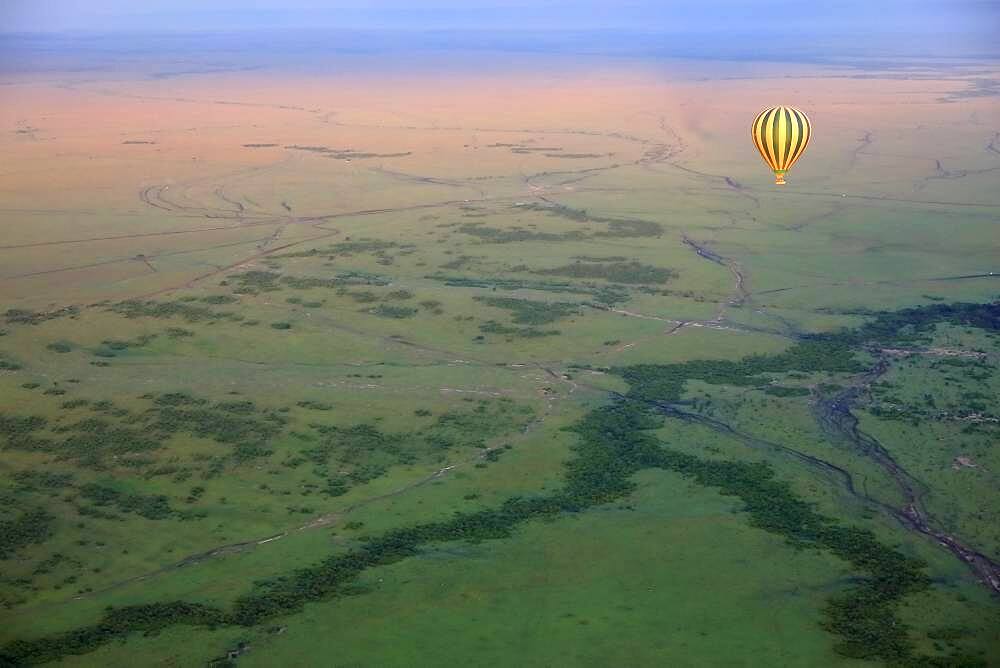 Hot air balloon over savannah, Masai Mara National Reserve, Kenya, Africa